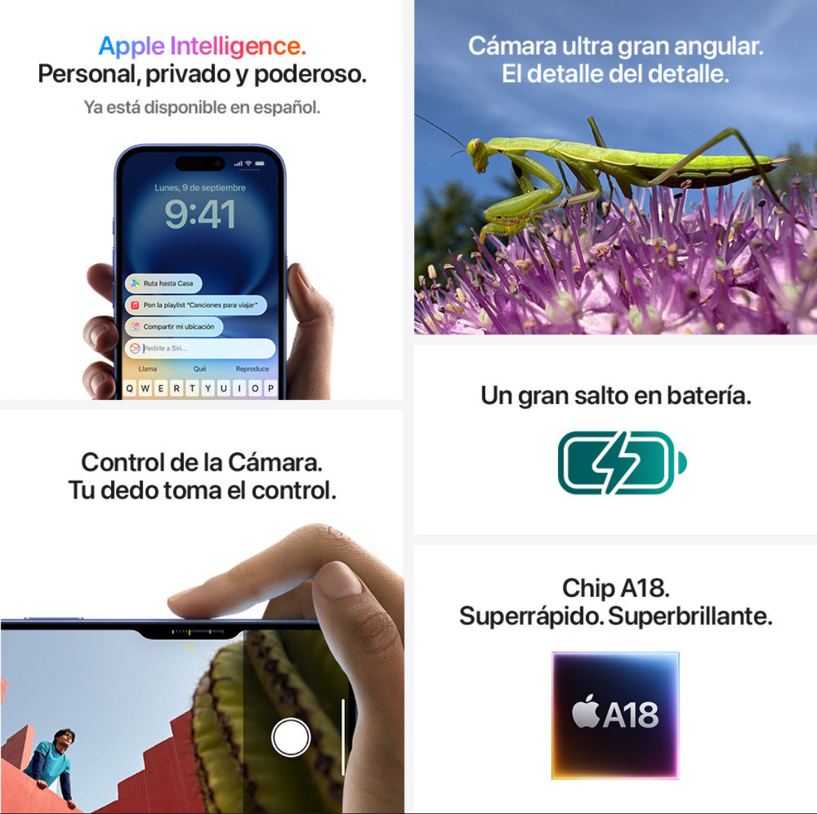 Apple iPhone 16 (128 GB) - Verde azulado - Distribuidor Autorizado